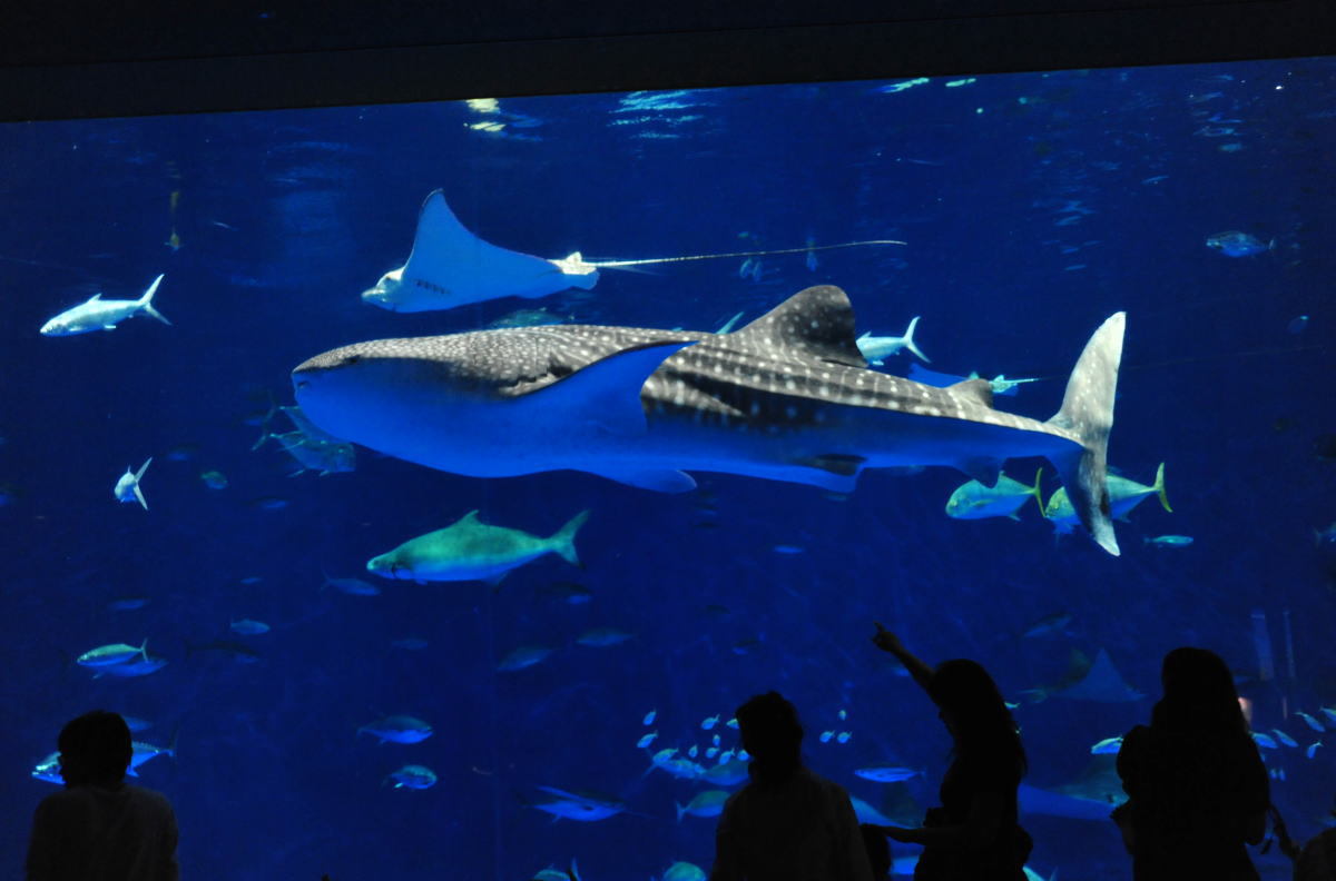 水族館