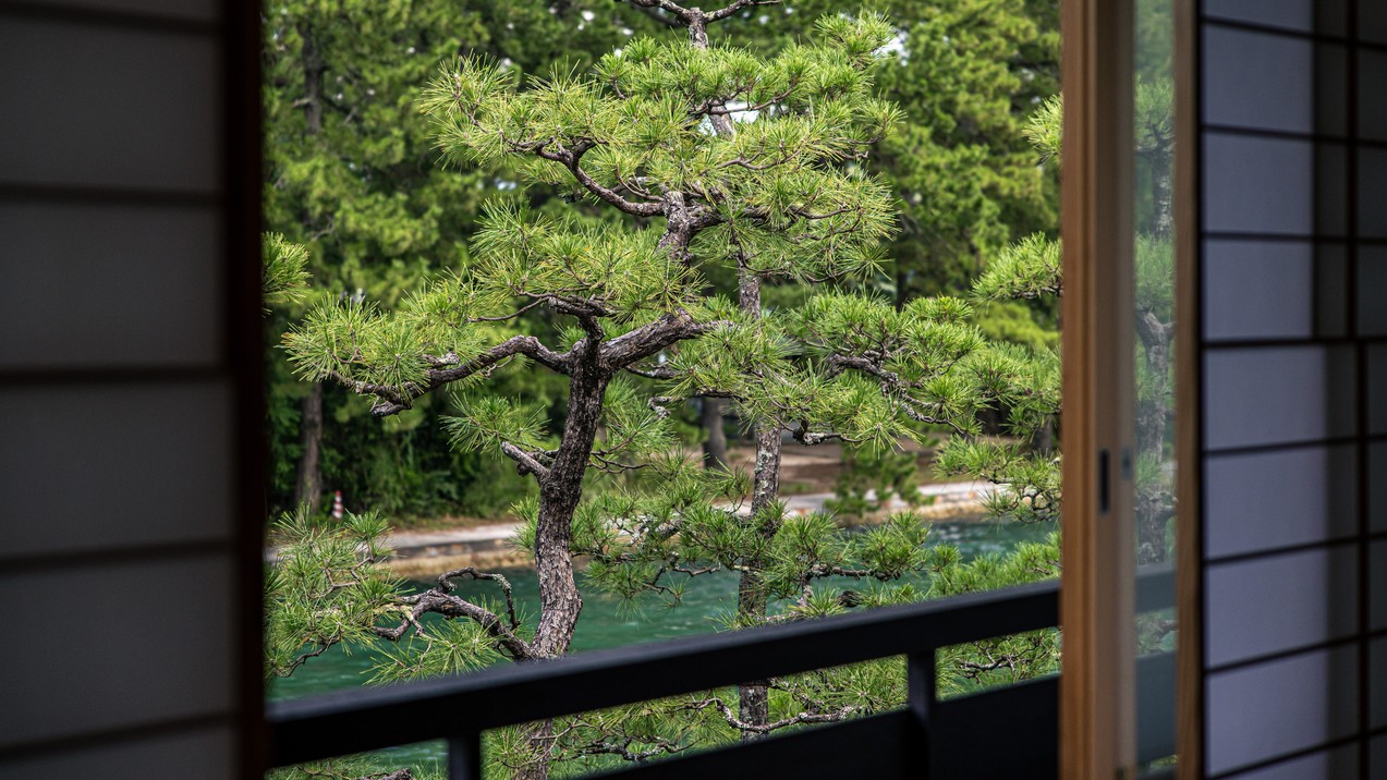 【雪月花の棟】2階からの眺望　客室全室から天橋立の松並木や流れる天橋立運河を眺める