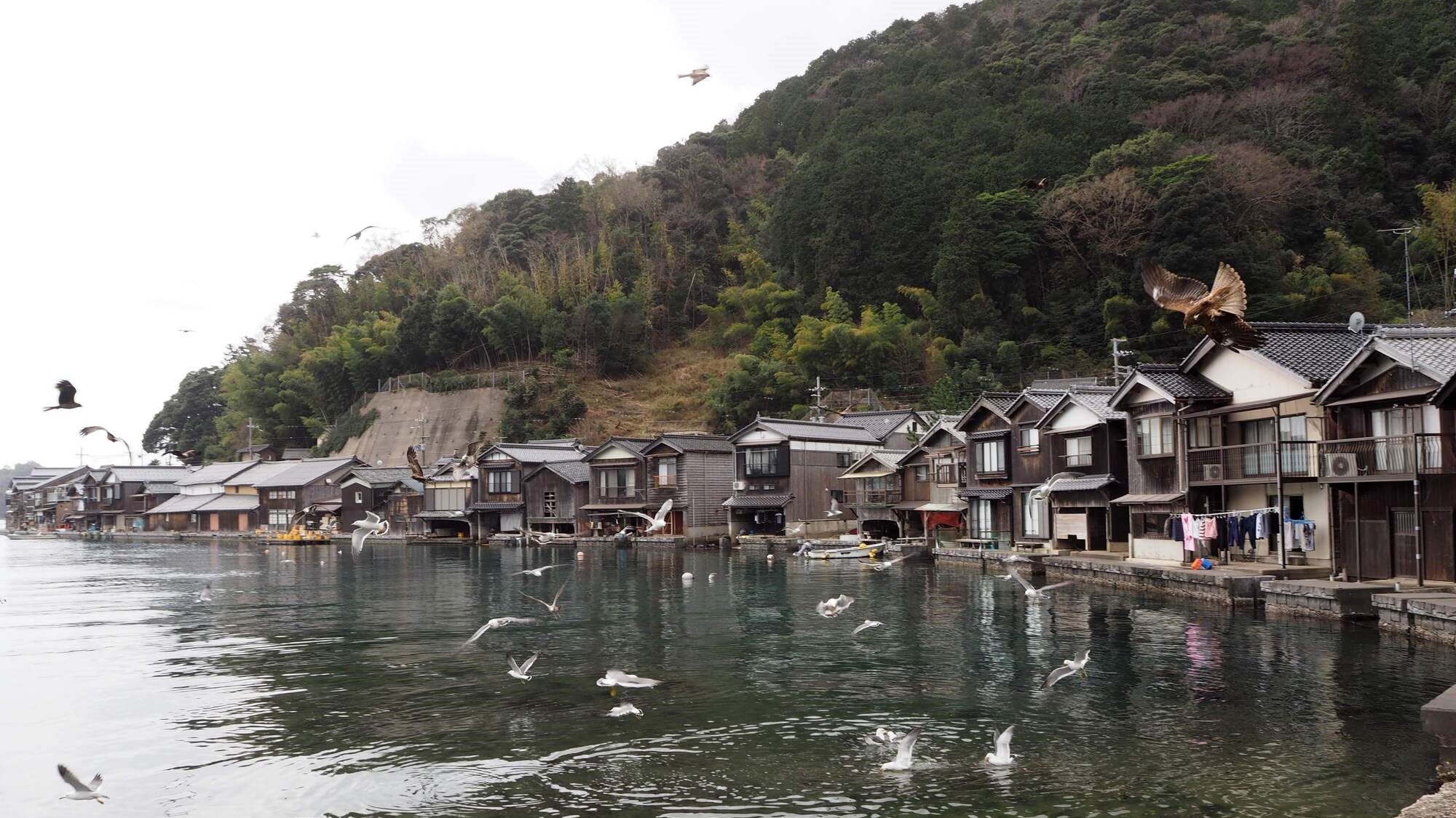 【伊根の舟屋】並んだ家々が、まるで海に浮かんでいるようにも見えます。