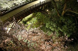 桜とこおろぎ橋