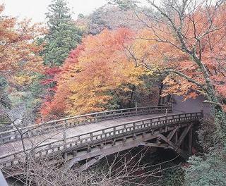 秋のこおろぎ橋