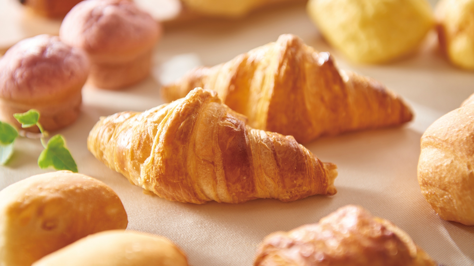 【訳あり】1月13日12時〜16時のうち1時間程度、法定設備点検の為停電いたします【朝食付き】 