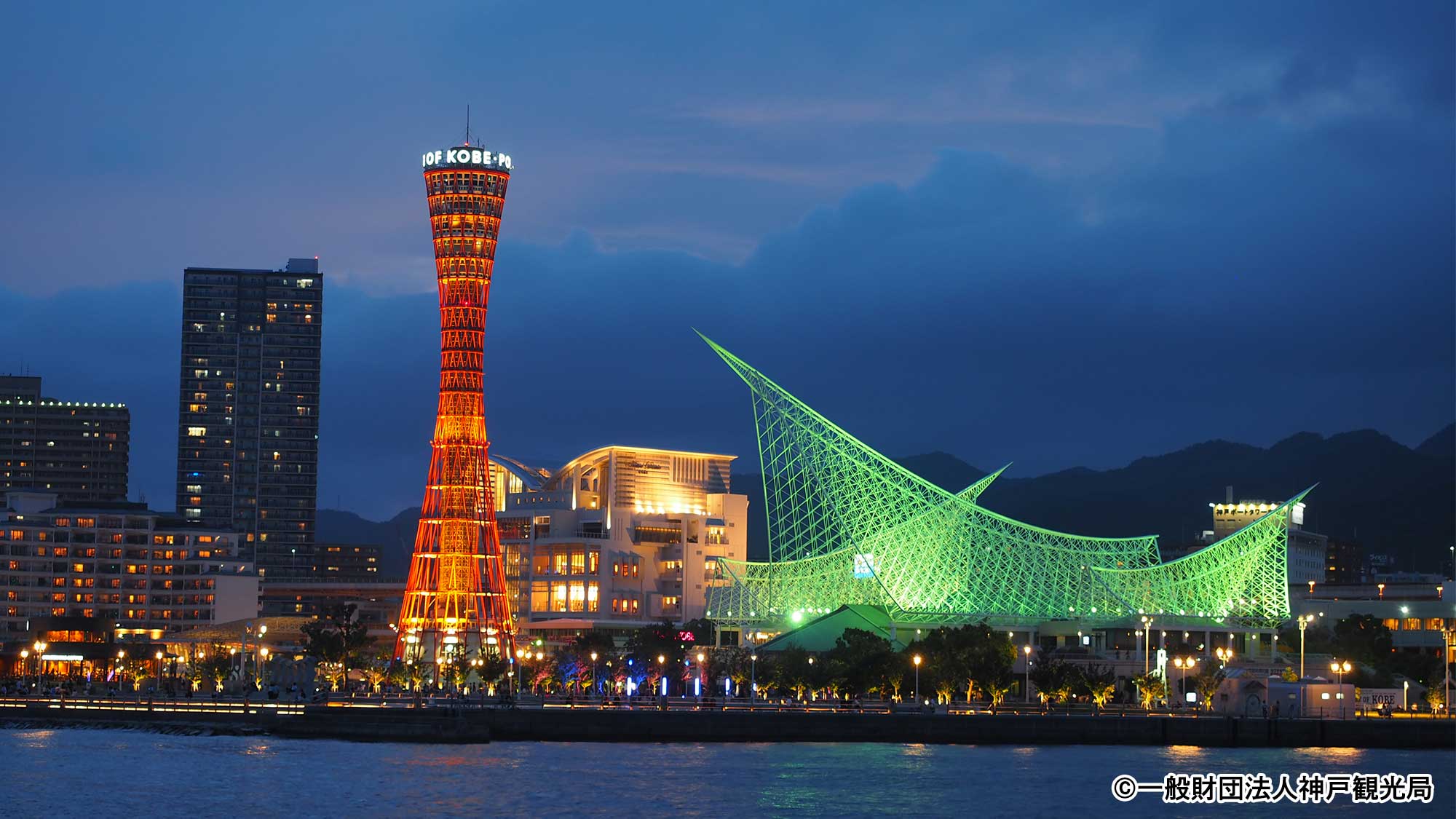 ポートタワーの夜景