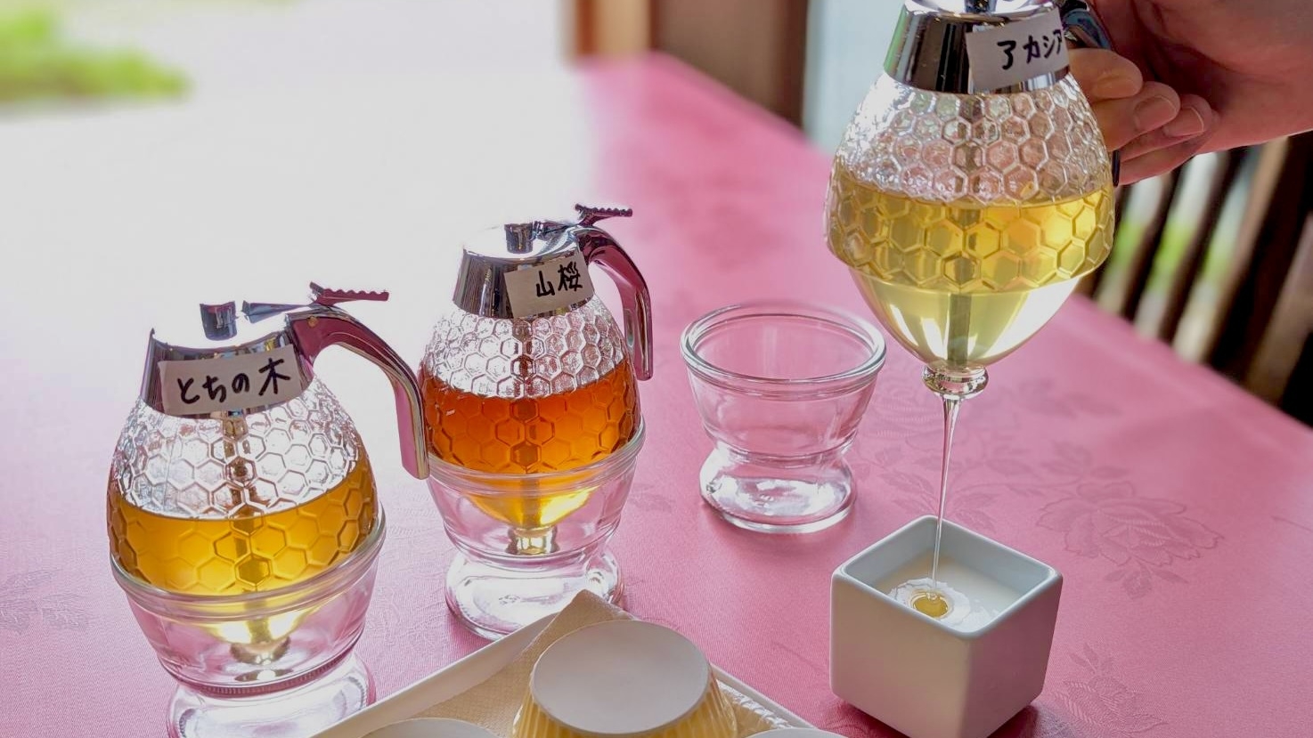 【楽天月末セール】基本プランがお得！創作コース・貸切温泉や大画面プロジェクターで最高の記念日に