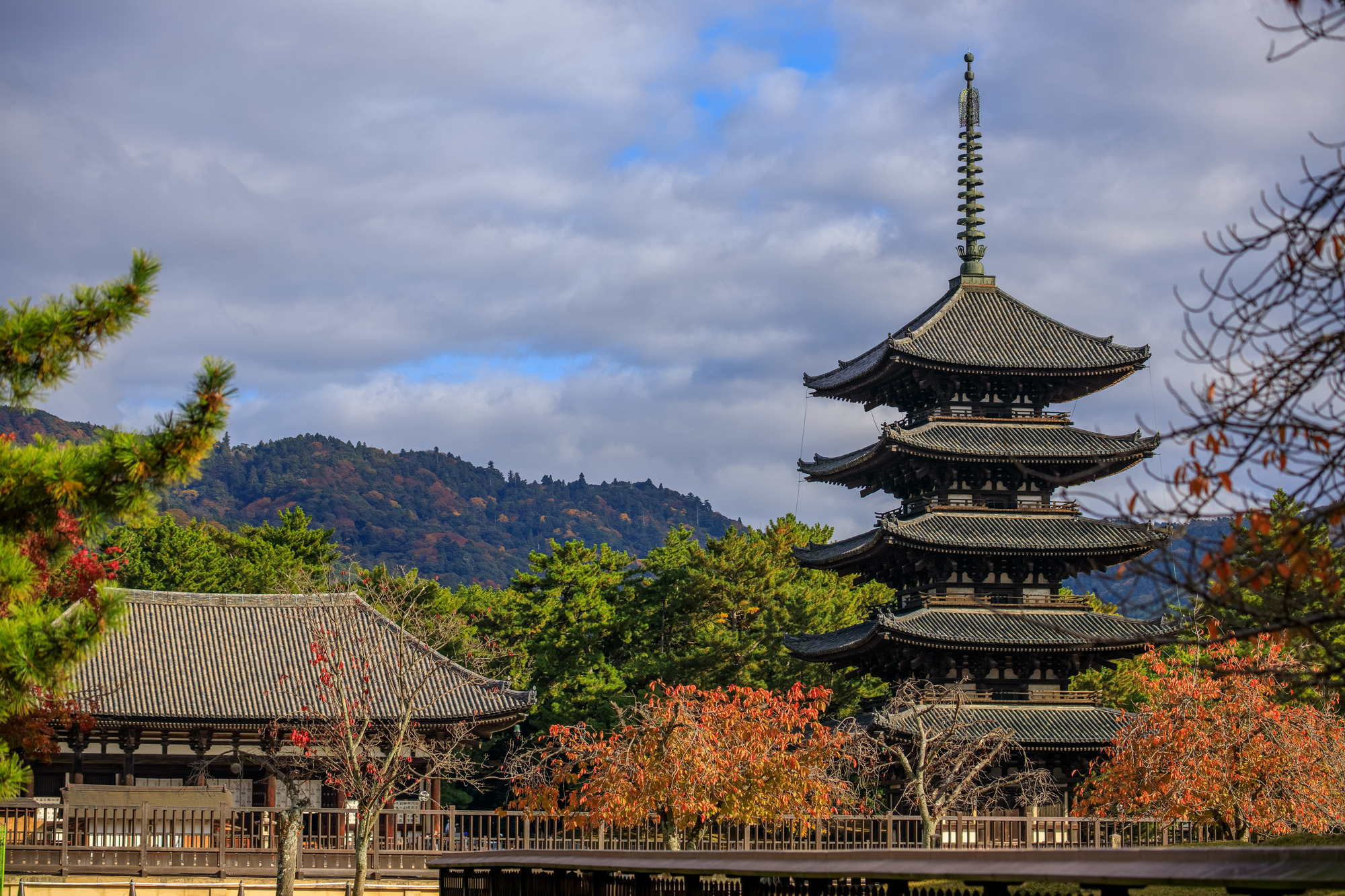 興福寺【当館から徒歩約15分】五重塔が有名で、世界遺産にも登録されている古刹