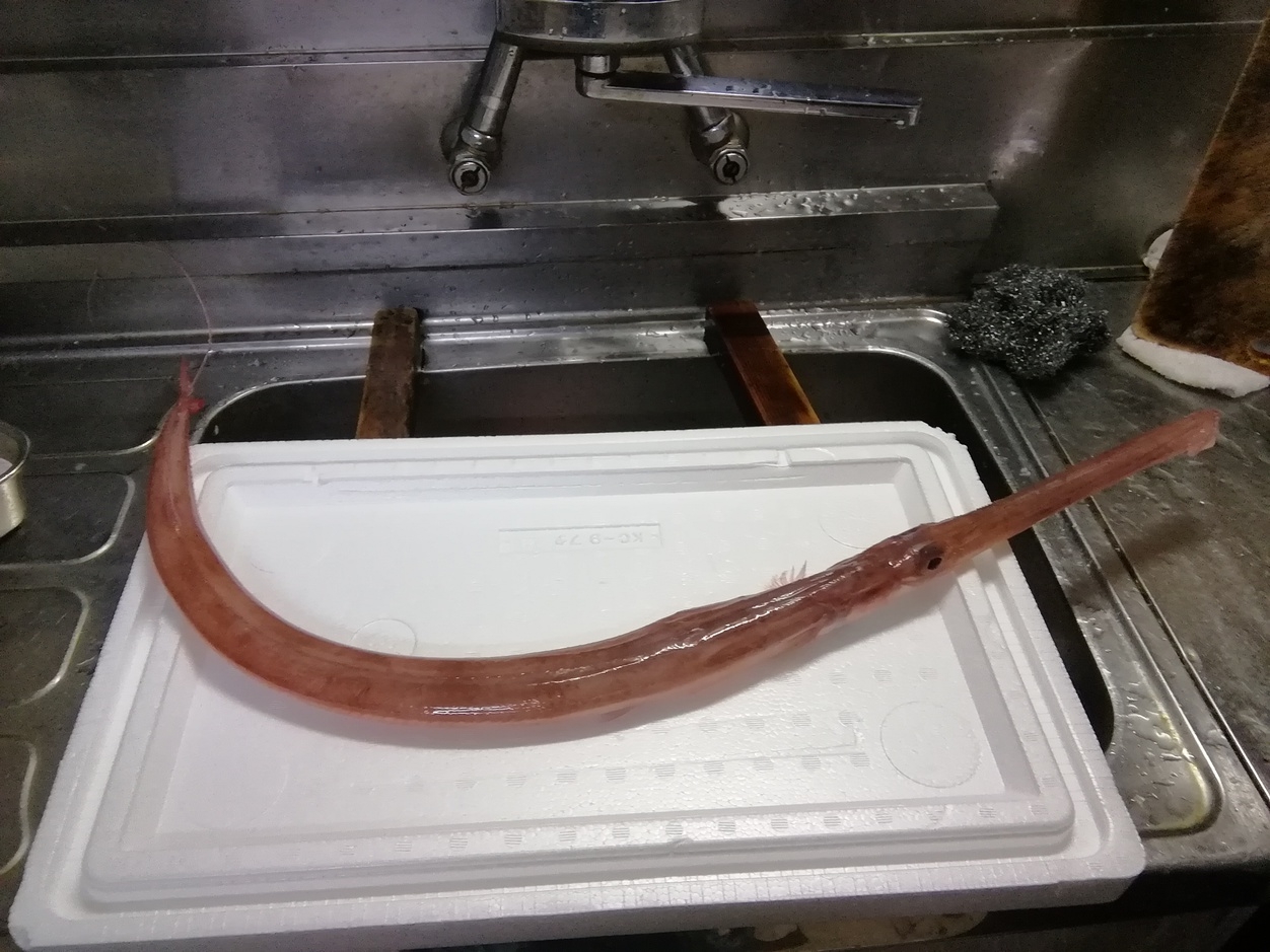 ＜金目鯛の煮付け＆大漁舟盛り＞ プラン！ 金目鯛は1人につき丸ごと1匹。