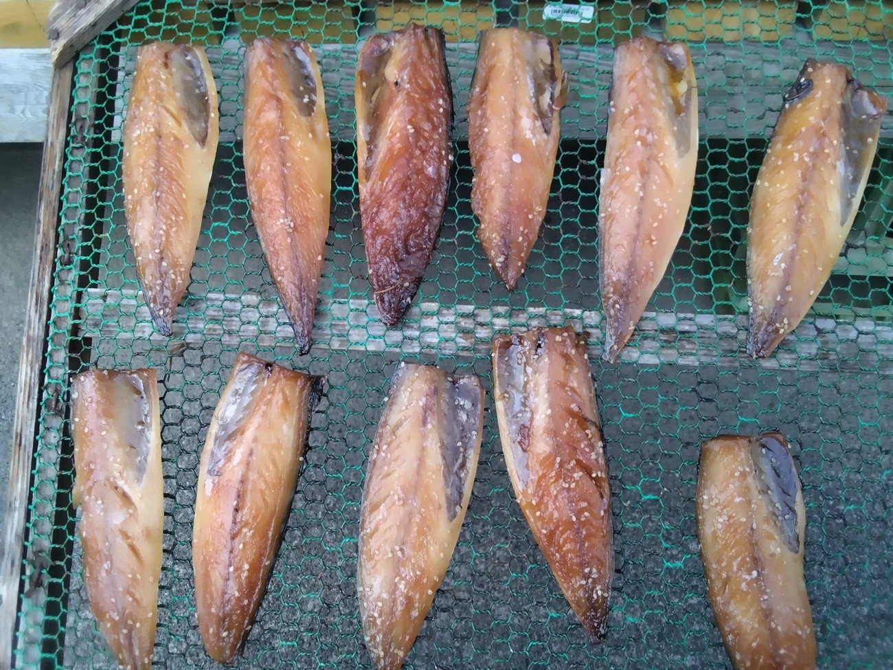 人気　ボリュームNo.1 【大将おまかせ☆魚の国絶品尽くし】 新鮮な魚を一番美味しい食べ方で♪ 