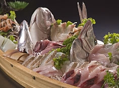 ＜大漁舟盛りプラン＞ 新鮮な地魚と雲見の天然温泉 〜その日に松崎漁港で水揚げ〜 絶品まちがいなし