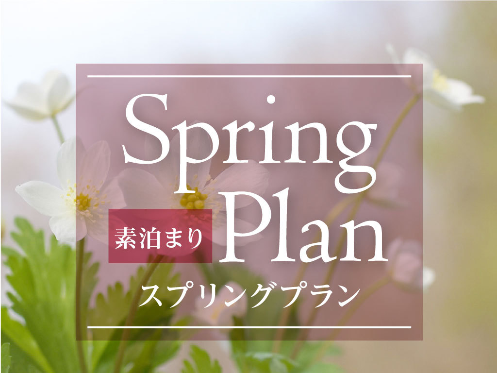 【ECO連泊★スパ特典付　スプリングプラン】素泊まり