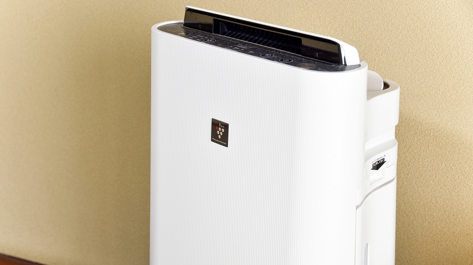 【1日1組限定】グループやご家族におすすめ♪22.5畳の大部屋プラン