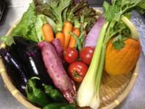 地元野菜
