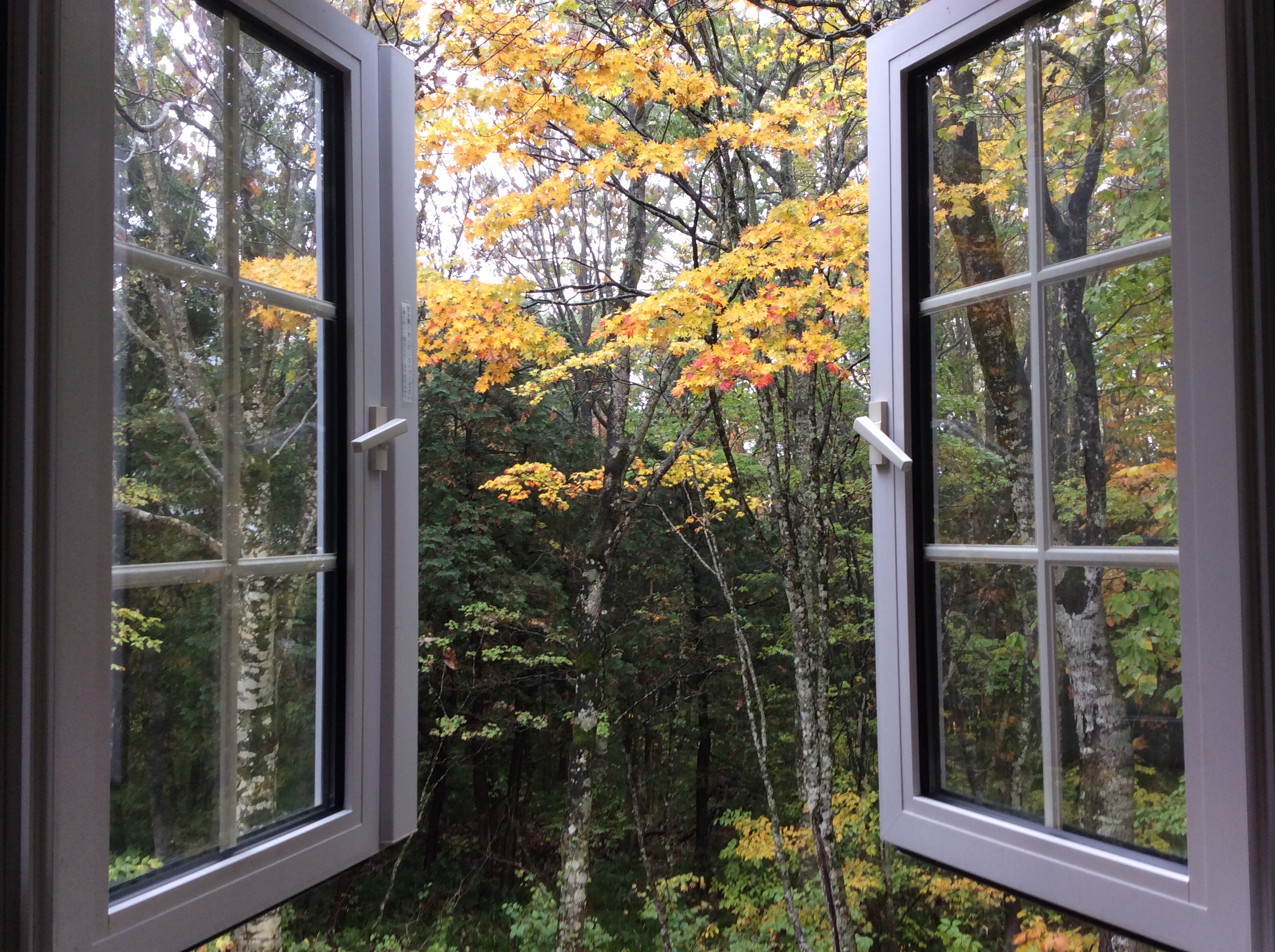 ツインルームからの景色