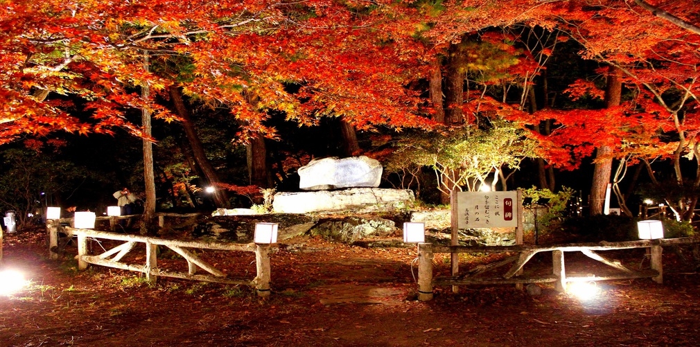 【紅葉】月の石もみじ公園ライトアップ観賞プラン〜幻想的な紅葉の景色を堪能♪〜(送迎付)