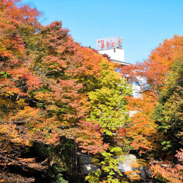 A panoramic view of the autumn leaves from the Yokose River
