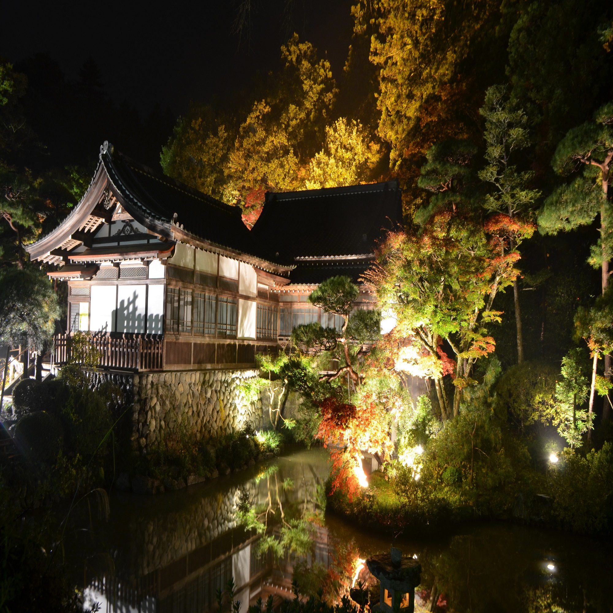 宝登山神社ライトアップ池