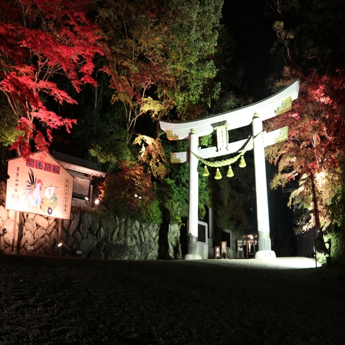 宝登山神社ライトアップ