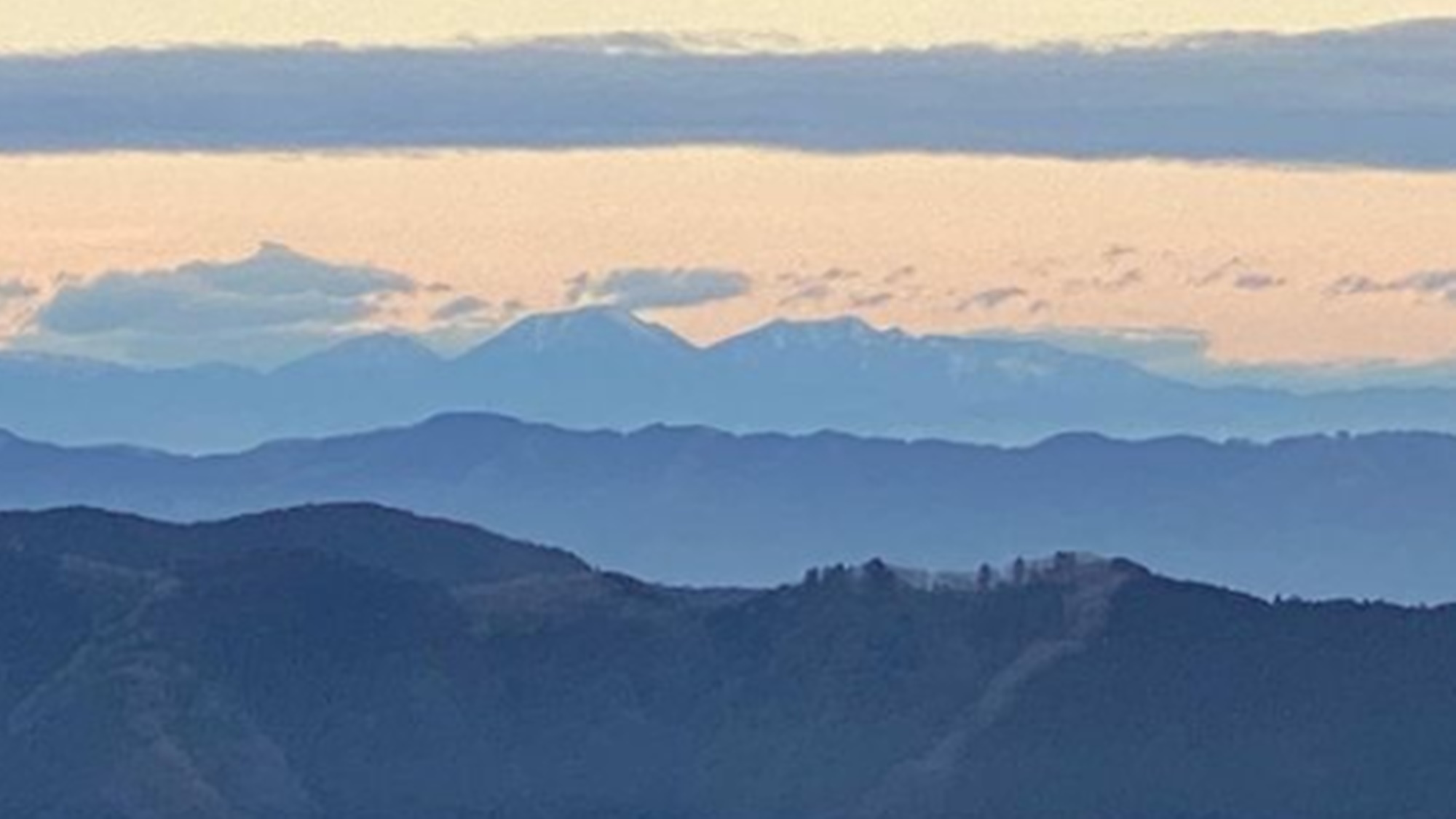 ＊南山荘の日々／鬱蒼とした景色もまたいいものです。