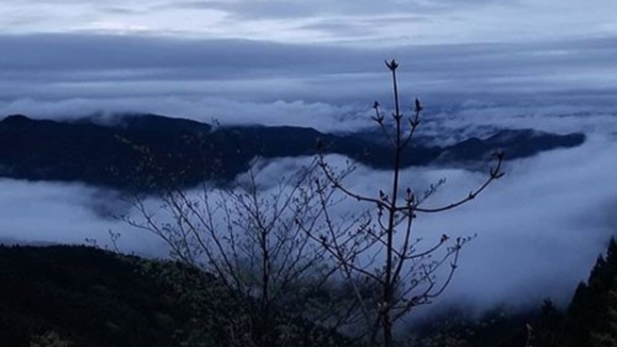＊南山荘から眺める雄大な景色、雲海が広がってます。