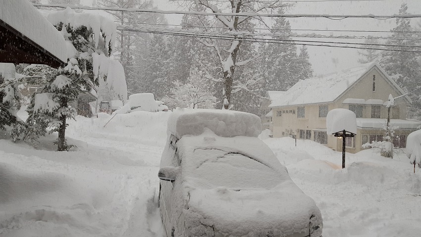 雪が降るとこんな感じ