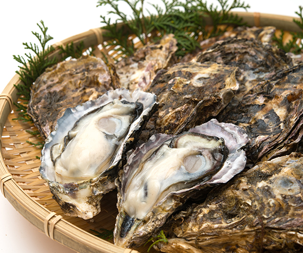 ★期間限定★【ひろしまグルメ】広島冬の味覚♪牡蠣づくしの特選会席プラン