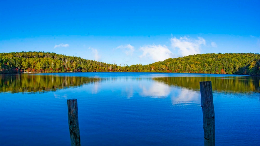 【周辺観光】幻想的な湖「白駒の池」。日本でも有数の苔の森に囲まれています。ホテルより車で約60分