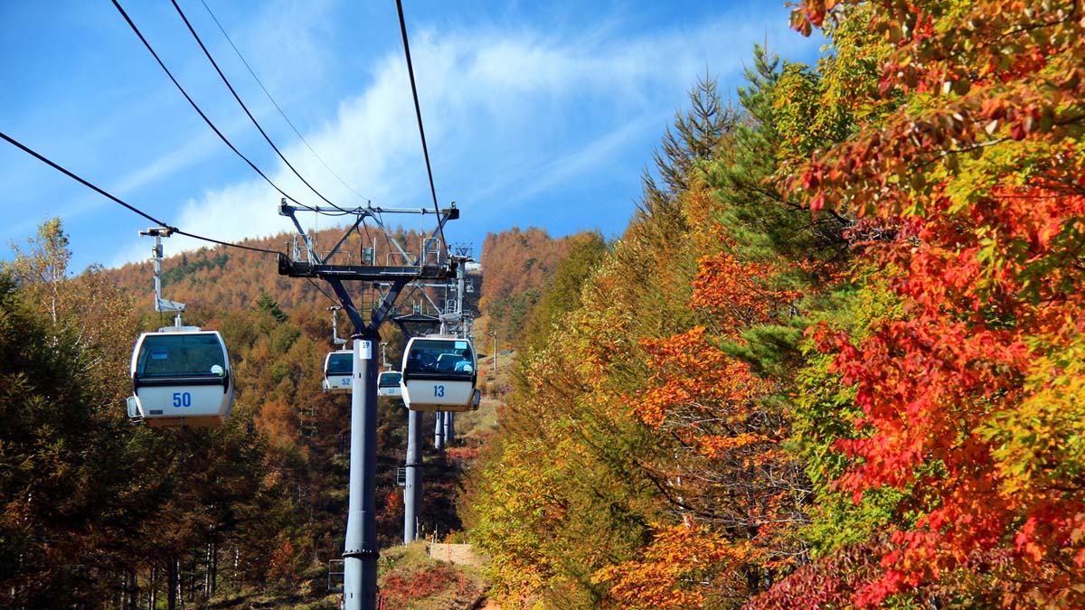 【周辺観光・秋】入笠山の紅葉