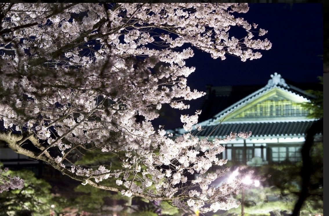 【楽天スーパーSALE】【素泊まり】ベーシックステイプラン　サンシャイン高松