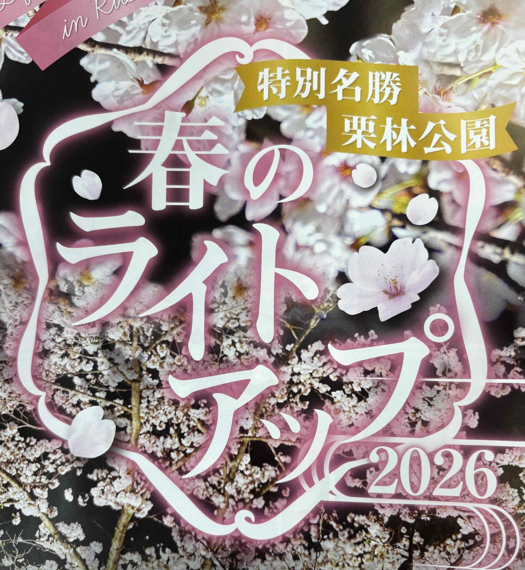 【楽天スーパーSALE】【素泊まり】ベーシックステイプラン　サンシャイン高松