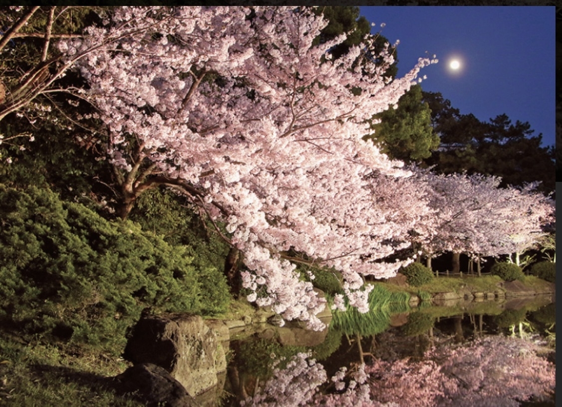 【楽天スーパーSALE】【素泊まり】ベーシックステイプラン　サンシャイン高松