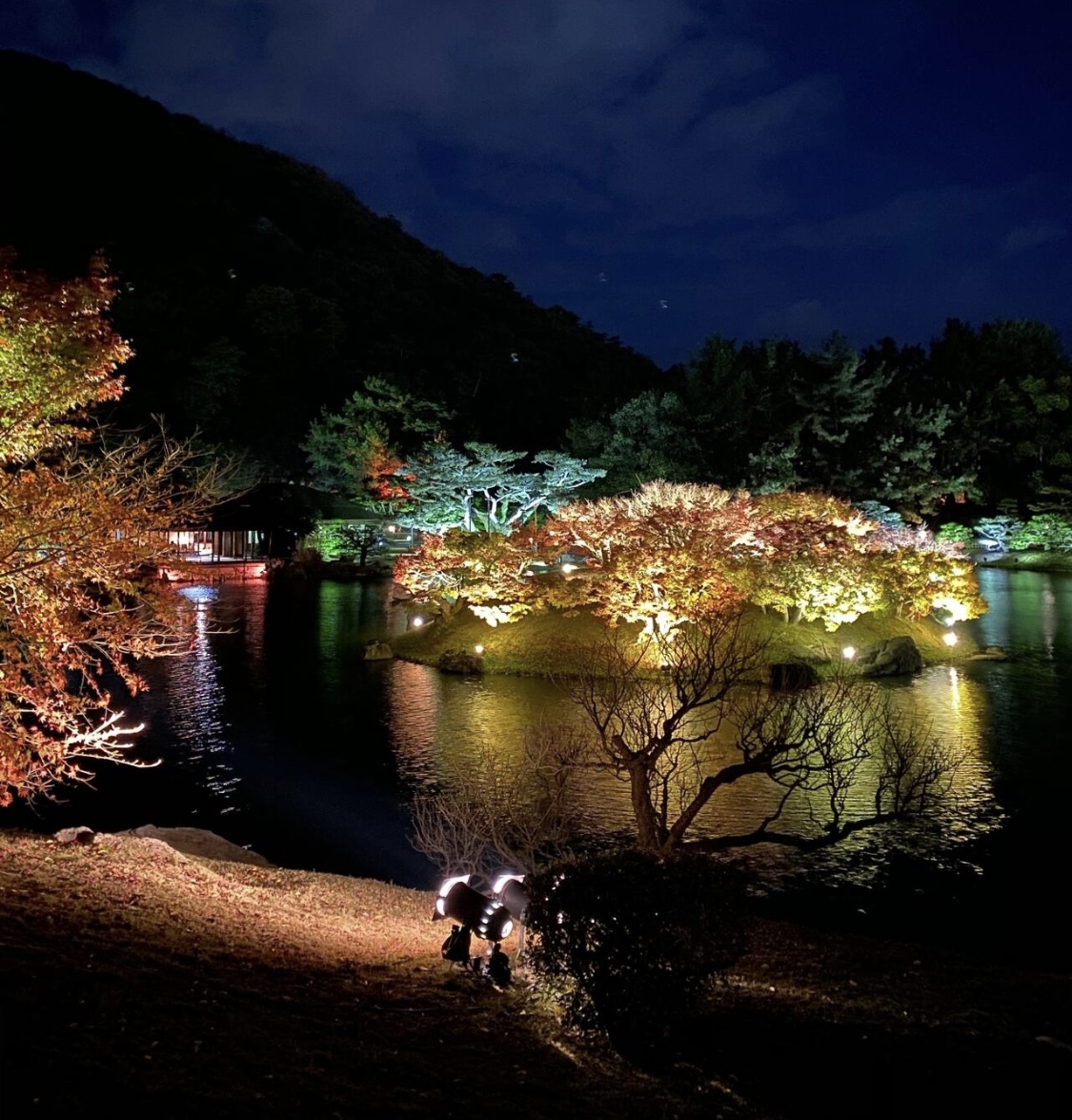 栗林公園秋のライトアップ４