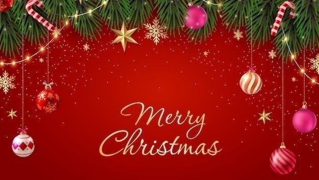 【さき楽３０】お子様歓迎！２０２５年クリスマス個室確約プラン/１泊２食/限定「スペシャル」コース付き