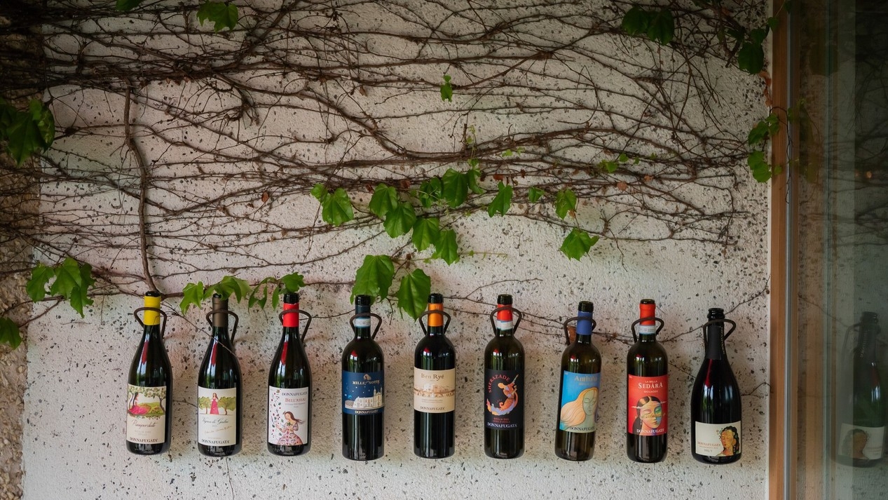 【５日前までのご予約・組数限定・プレミアムディナーコース】その日採れた最高の食材で、極上の美味を