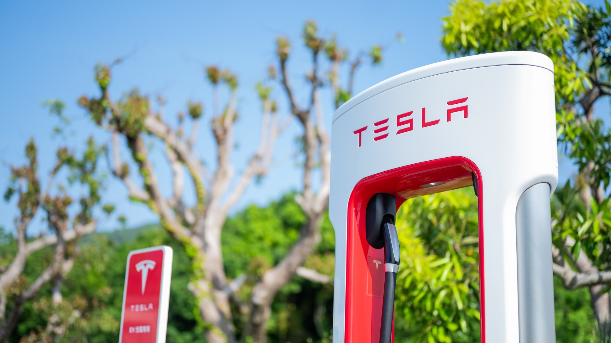 TESLA