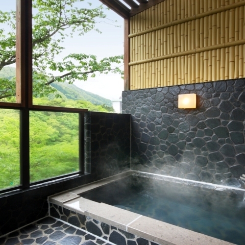 ☆極上の湯浴み☆露天風呂付客室【渓谷沿いの和室12畳】