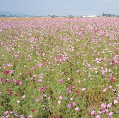 鬼怒川温泉 絶景の宿 佳祥坊福松 - 写真 159