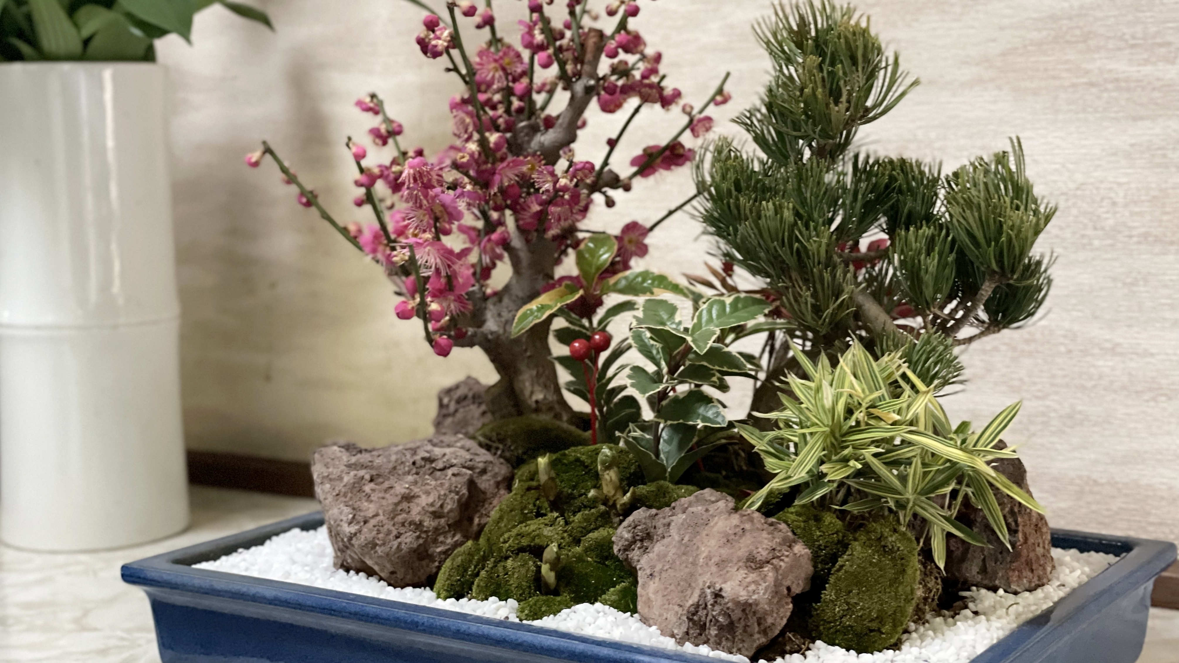 *【館内】玄関にある盆栽