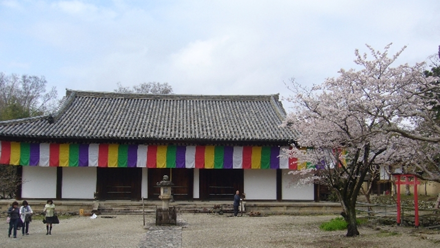 *新薬師寺:本堂には国最古最大の十二神将がご本尊の薬師如来をお守りしています