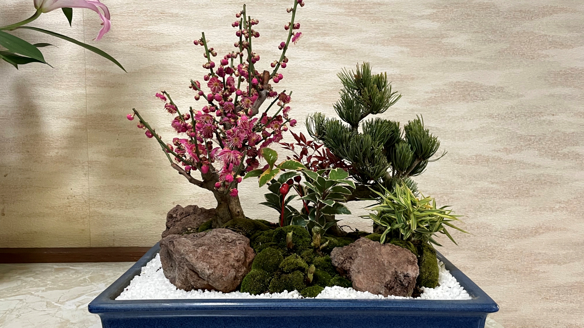 *【館内】玄関にある盆栽