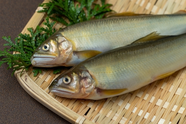 最上級をさらに超える贅を尽くした【極み】会席プラン