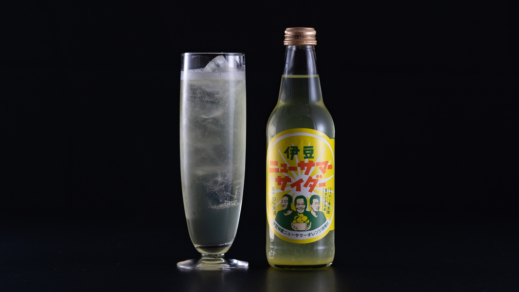 【波枕会席 ひとり旅】ご夕食時ワンドリンクサービス特典付 全7室の湯宿で過ごすあなただけの休息時間を