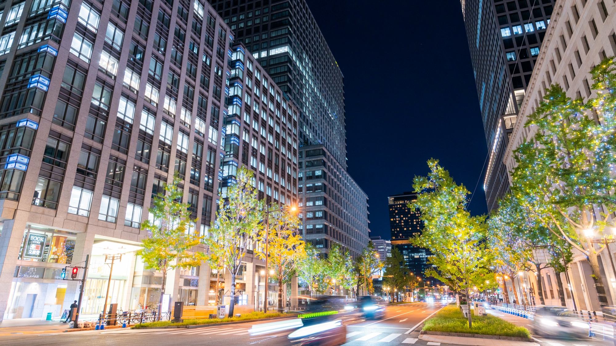 周辺情報｜季節を感じる御堂筋＜冬＞