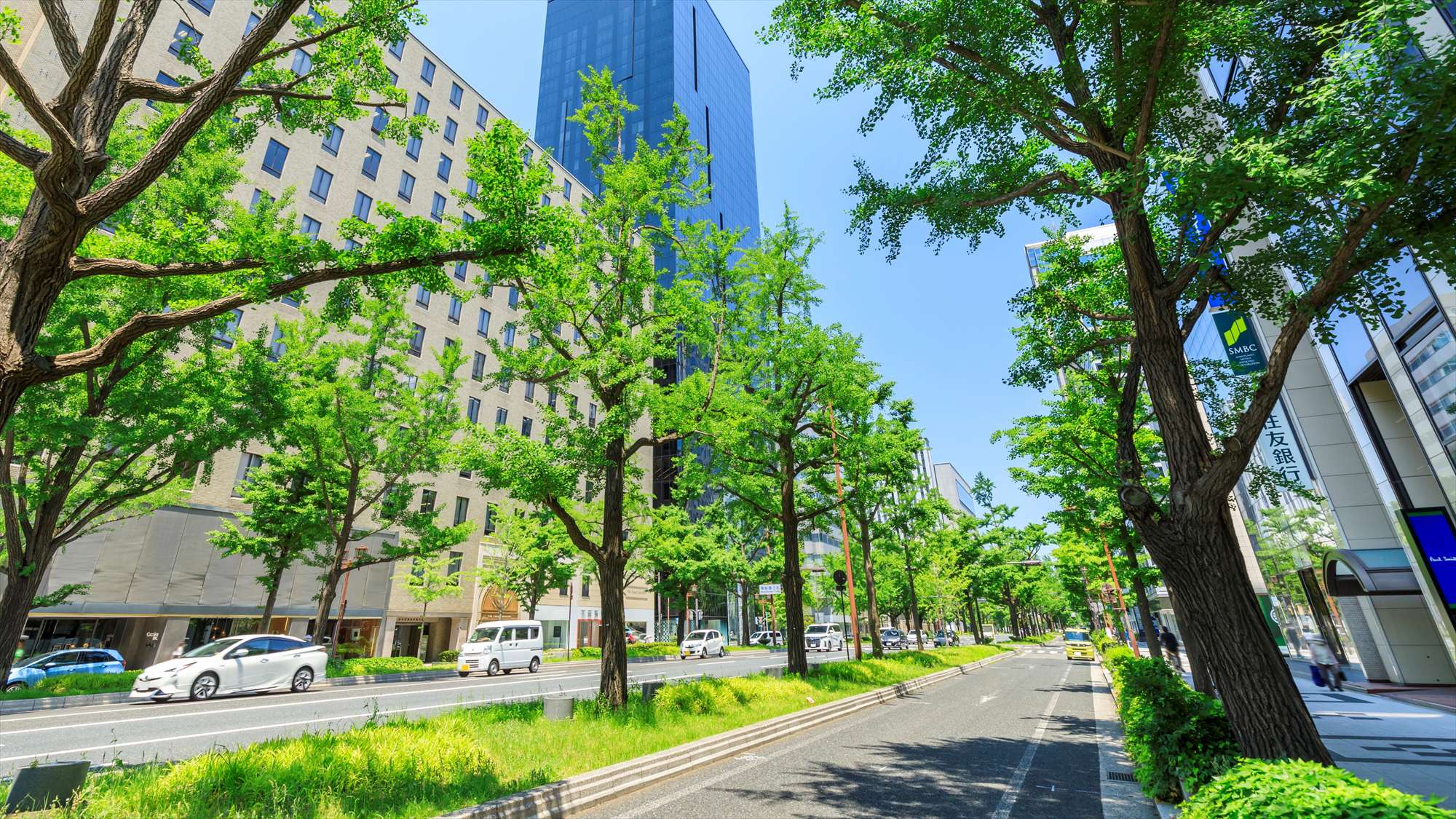 周辺情報｜季節を感じる御堂筋＜夏＞