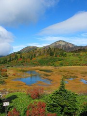 秋の高谷池