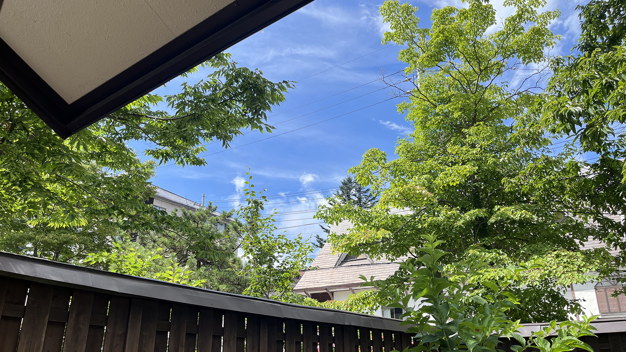 テラス席からの眺め