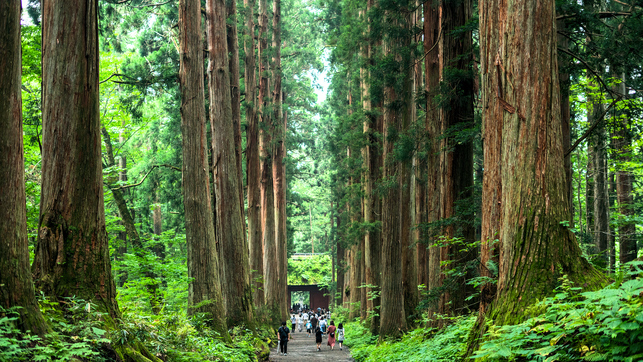 ＜素泊まり＞思い立ってのご旅行やビジネスに最適／温泉は夜中も入浴可／チェックイン24時までＯＫ