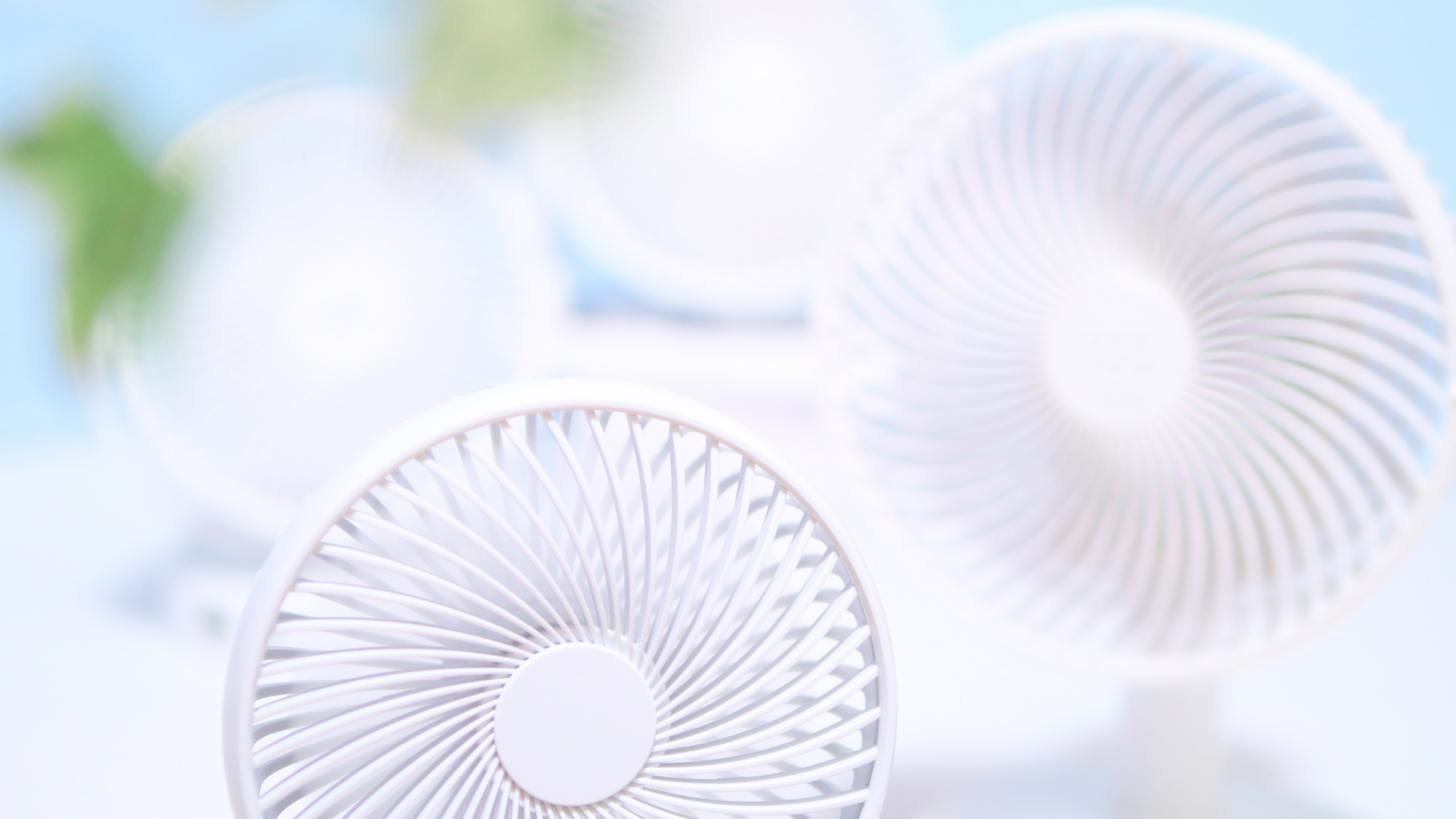 【訳あり】＜素泊まり＞客室にエアコンなし、ウィンドウファンのみ／その分格安料金で宿泊可＠5500円〜