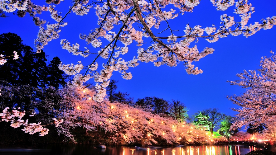 【その他】周辺・景観／高田城観桜会高田城観桜会