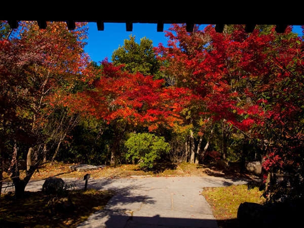 【素泊りプラン】 『食事なし』完全 素泊まりステイプラン