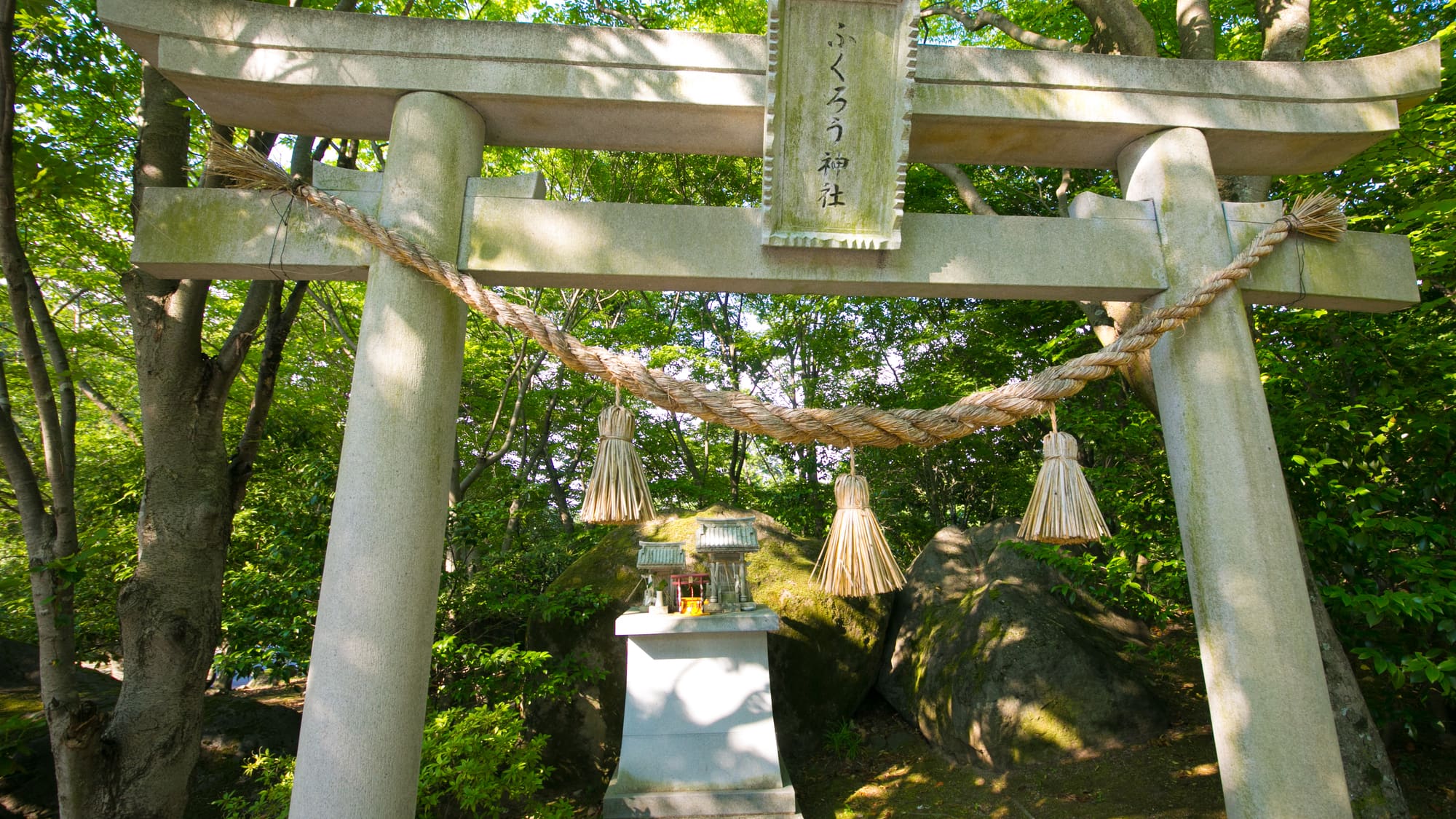 フクロウ神社  