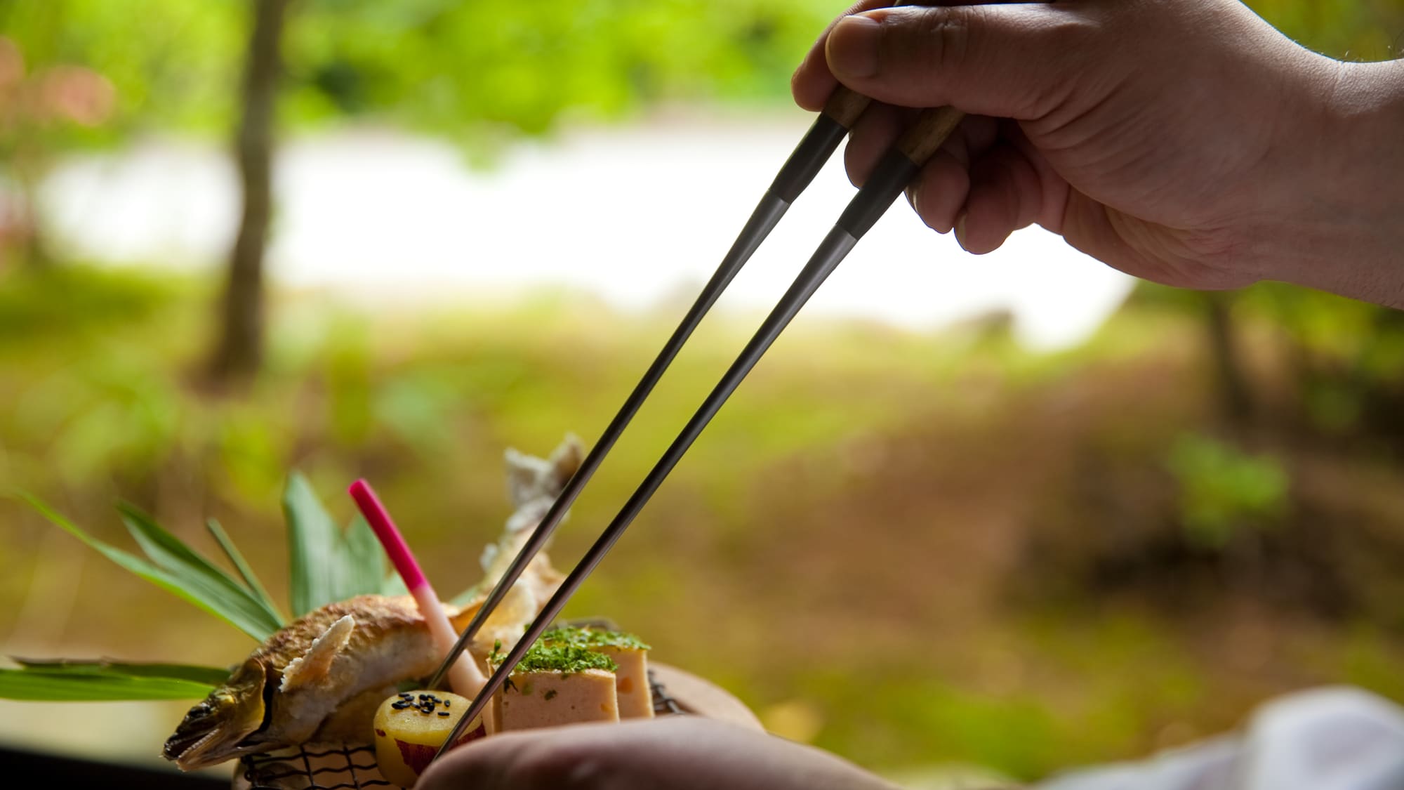 【食事】ここでしか味わえない厳選素材